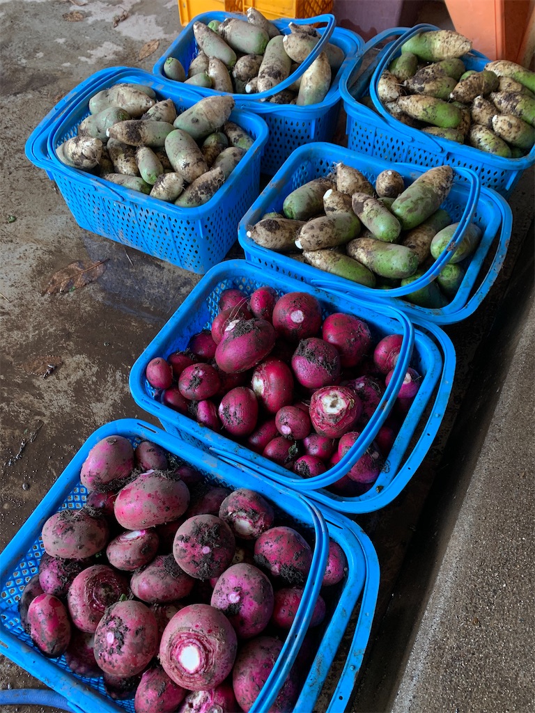 f:id:iwamityu:20201116131734j:image f:id:iwamityu:20201116131734j:image