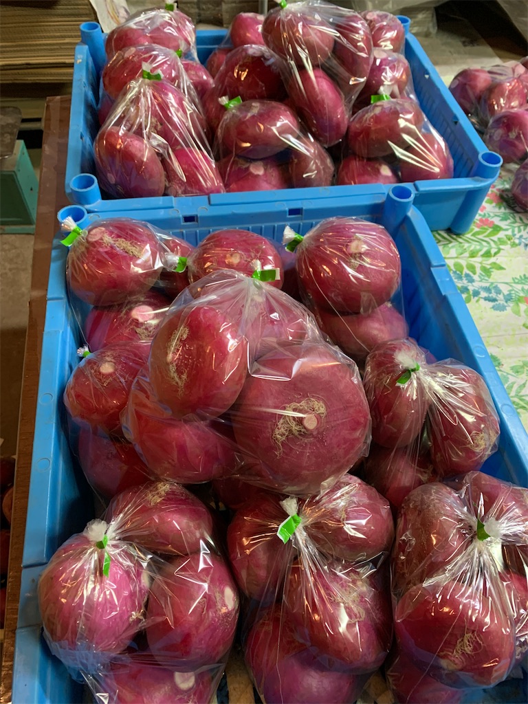 f:id:iwamityu:20201123211104j:image