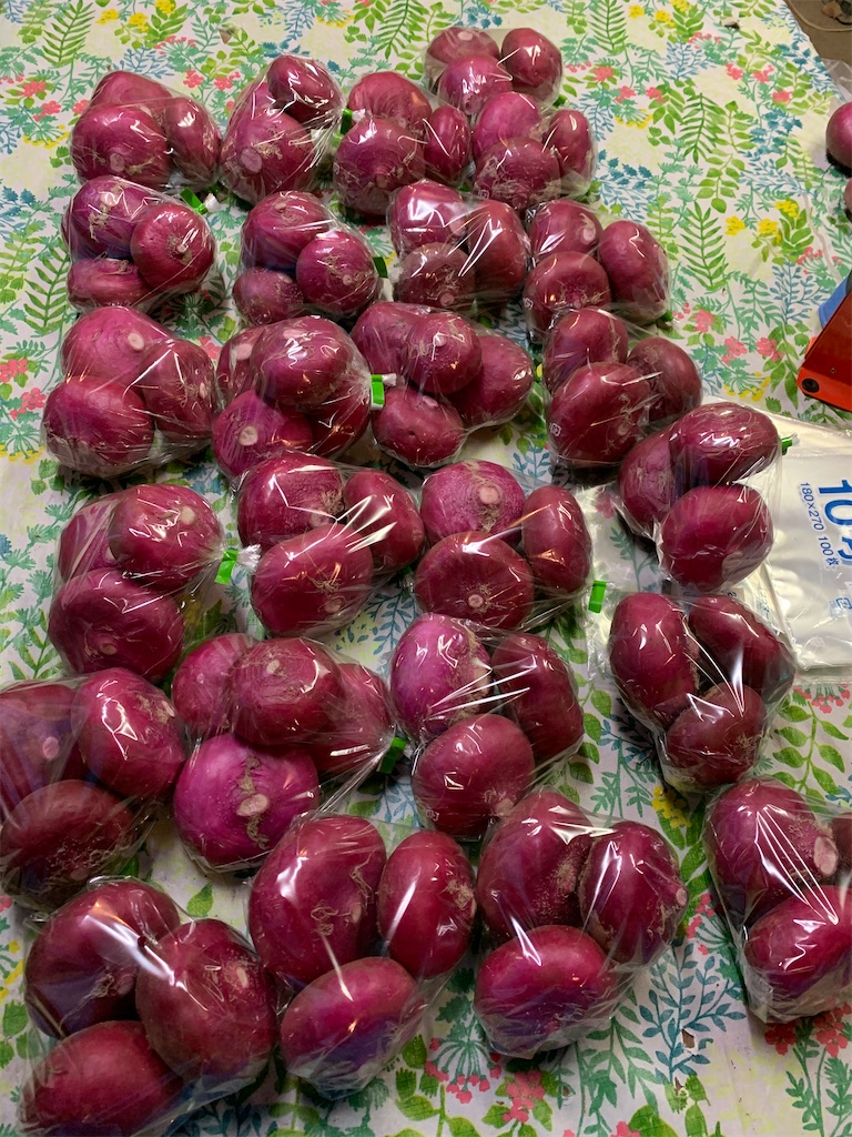 f:id:iwamityu:20201123211108j:image