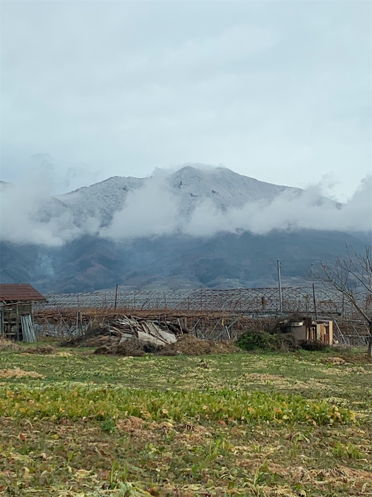 f:id:iwamityu:20201129182215j:image