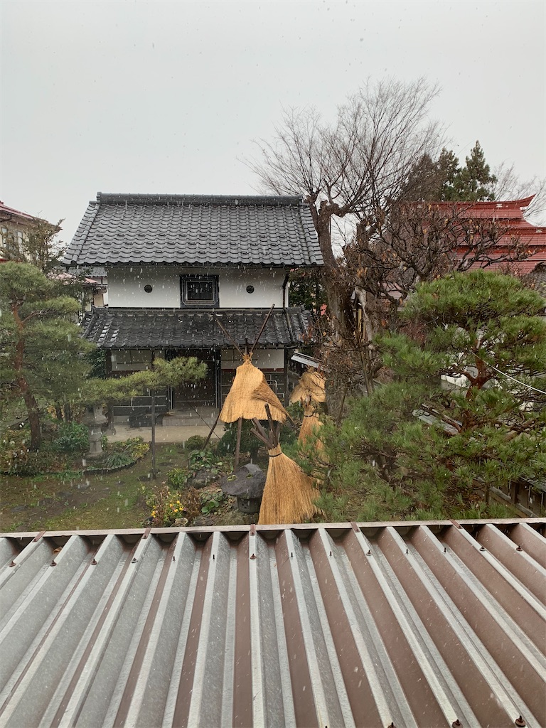 f:id:iwamityu:20201214200549j:image f:id:iwamityu:20201214200549j:image