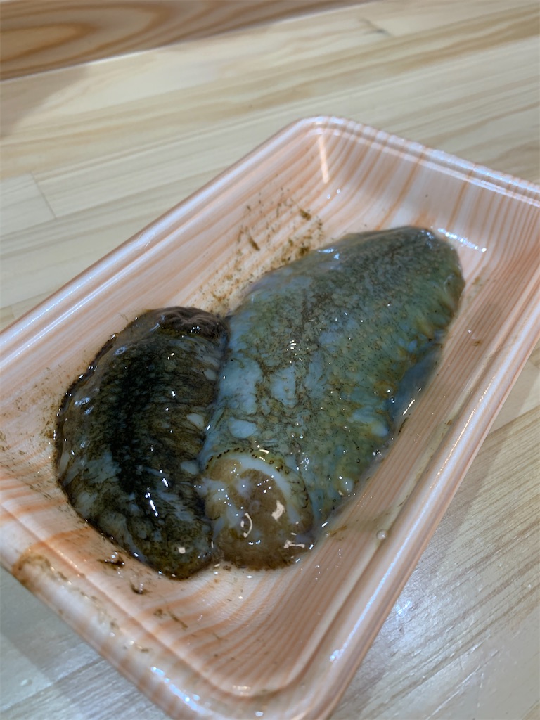 f:id:iwamityu:20201218184753j:image
