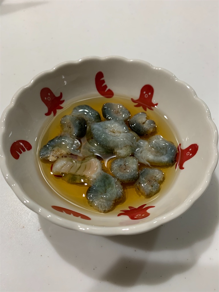 f:id:iwamityu:20201218195100j:image