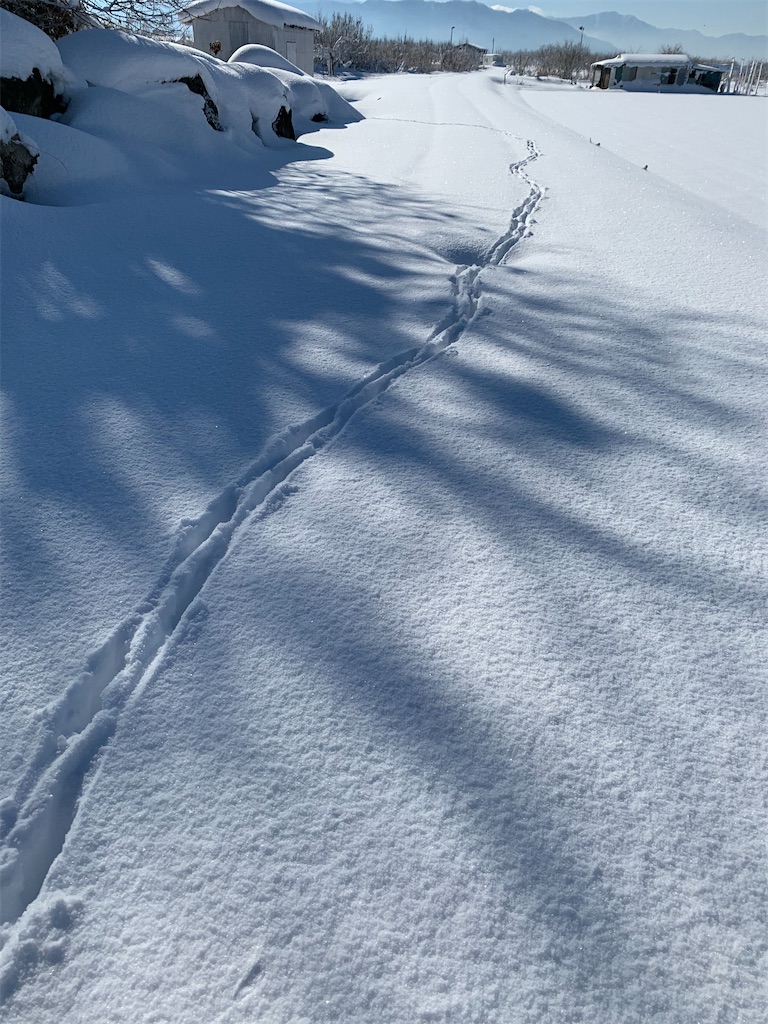 f:id:iwamityu:20201221191643j:image