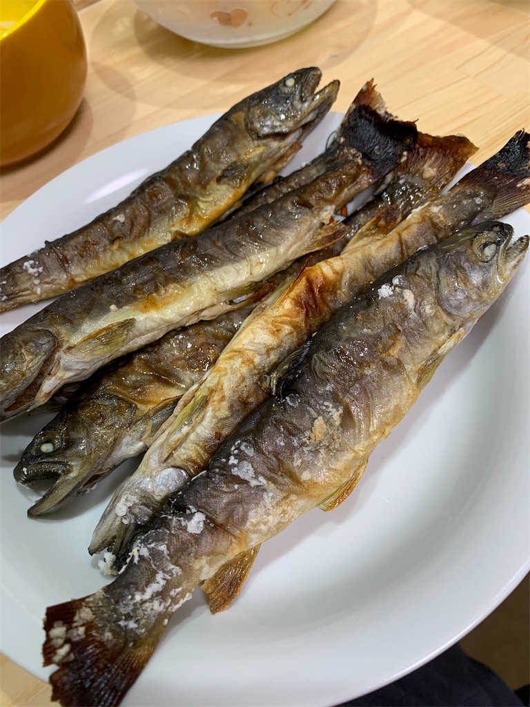 f:id:iwamityu:20201227184949j:image