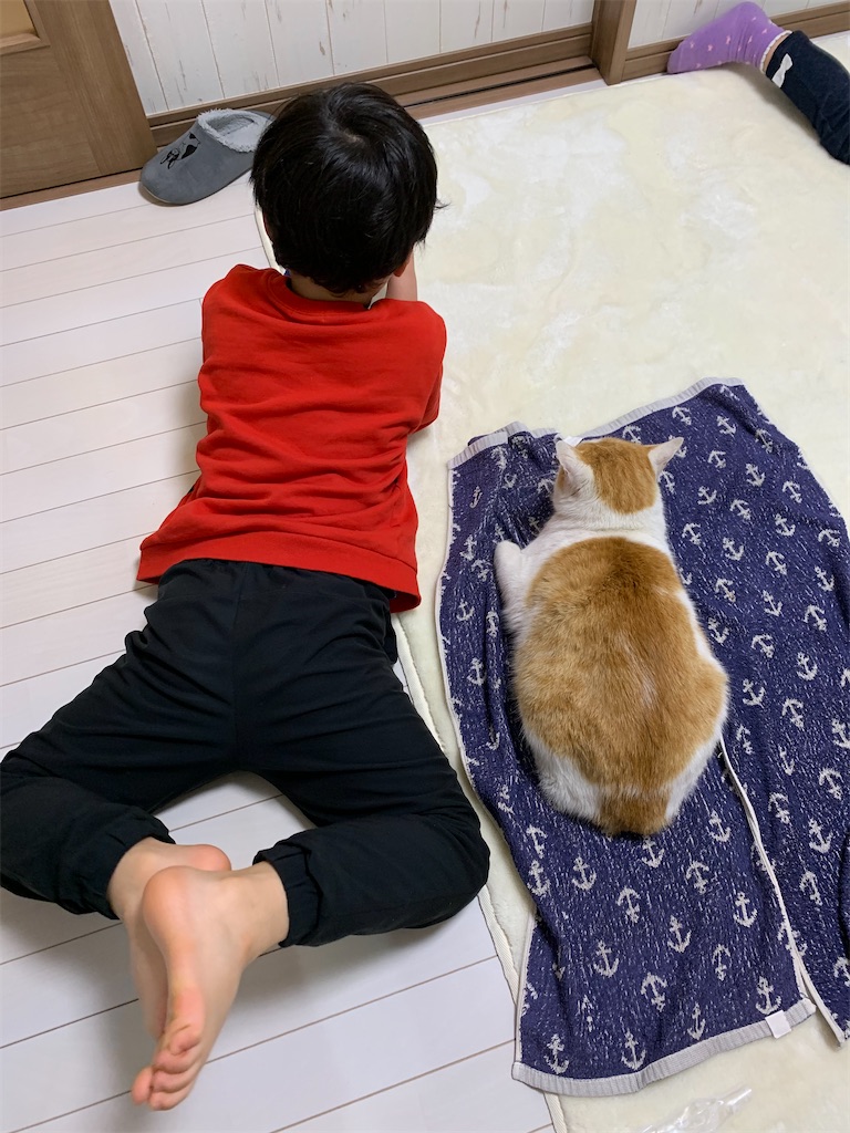 f:id:iwamityu:20210118191022j:image f:id:iwamityu:20210118191022j:image