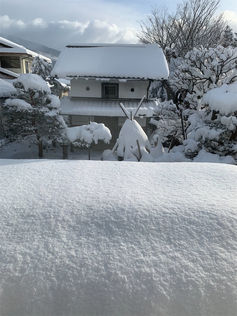 f:id:iwamityu:20210209162337j:image f:id:iwamityu:20210209162337j:image