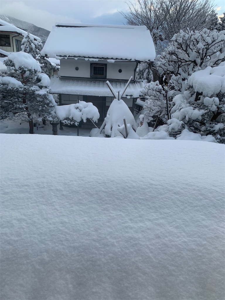 f:id:iwamityu:20210209162342j:image f:id:iwamityu:20210209162342j:image