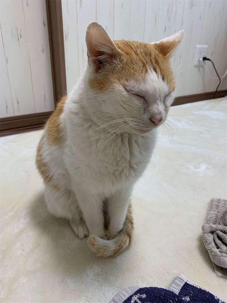 f:id:iwamityu:20210217090809j:image