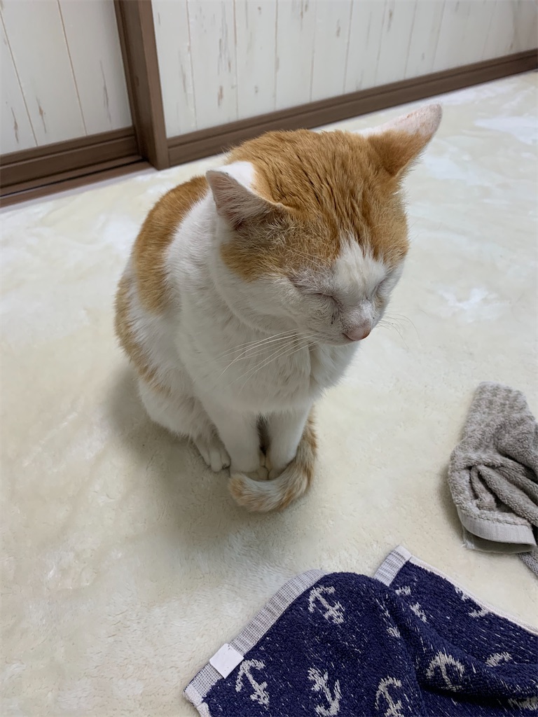 f:id:iwamityu:20210217090817j:image