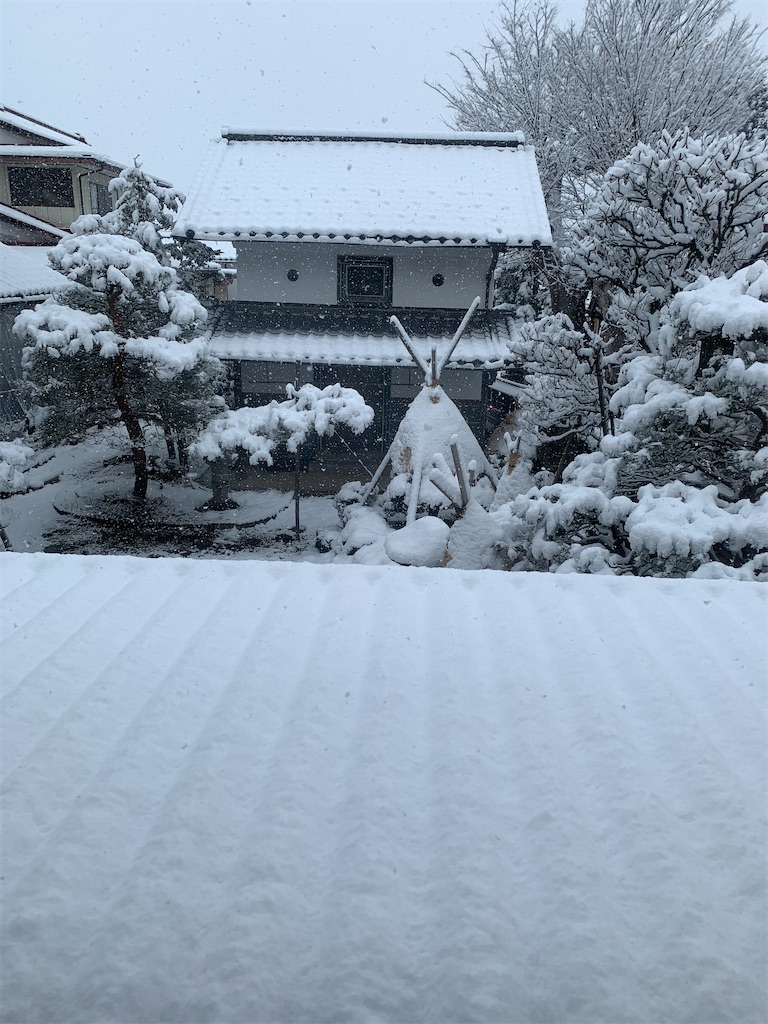 f:id:iwamityu:20210217090821j:image