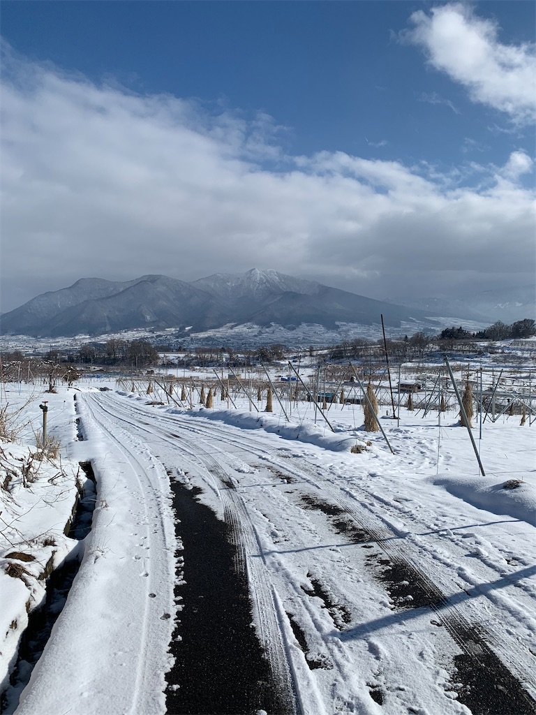 f:id:iwamityu:20210219143741j:image f:id:iwamityu:20210219143741j:image