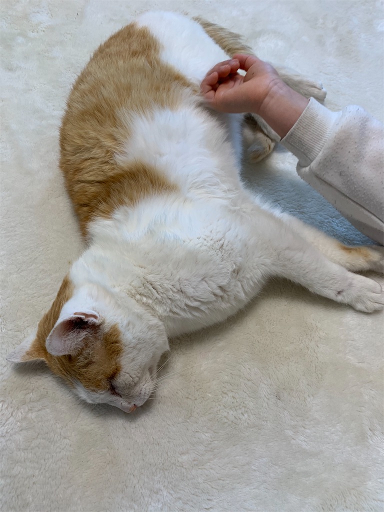 f:id:iwamityu:20210219143838j:image f:id:iwamityu:20210219143838j:image