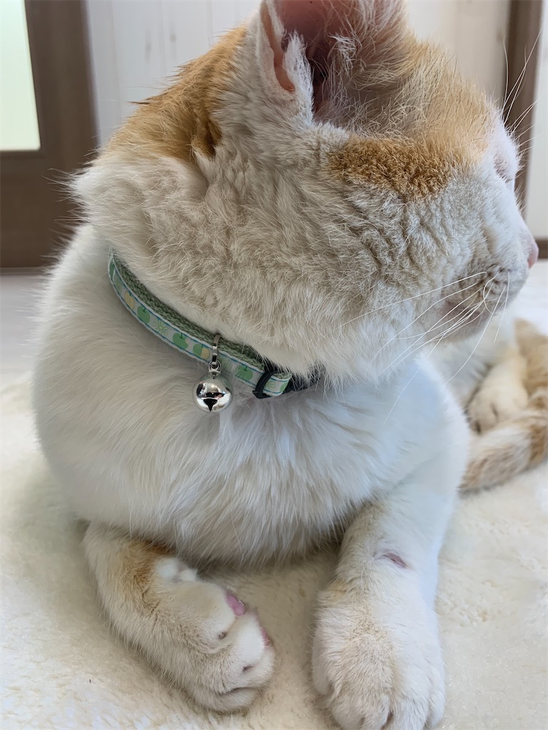 f:id:iwamityu:20210219143848j:image f:id:iwamityu:20210219143848j:image