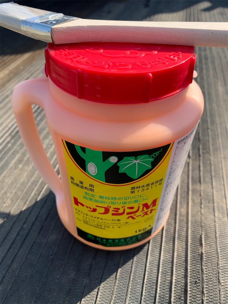 f:id:iwamityu:20210222172744j:image f:id:iwamityu:20210222172744j:image