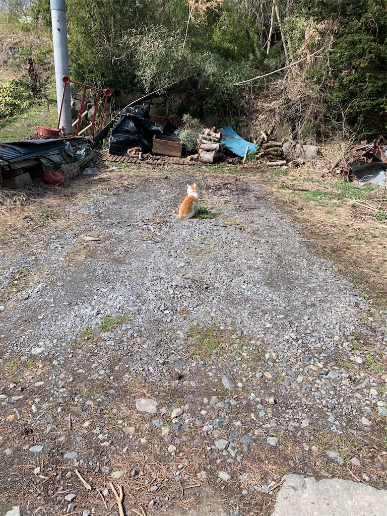 f:id:iwamityu:20210314160618j:image
