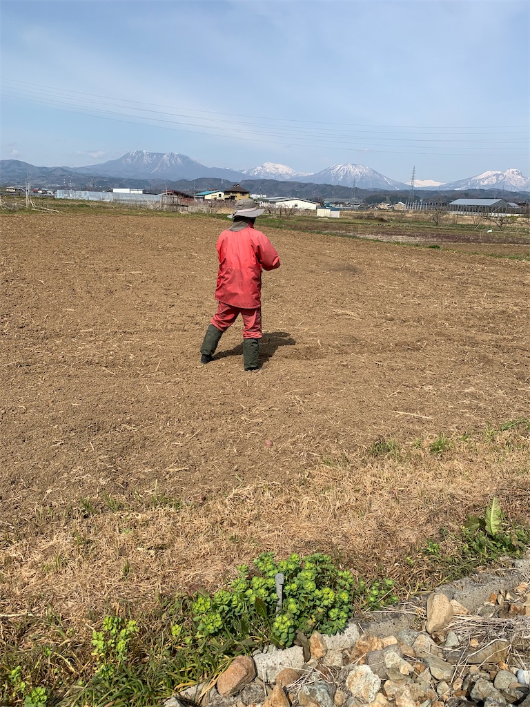 f:id:iwamityu:20210412183345j:image f:id:iwamityu:20210412183345j:image