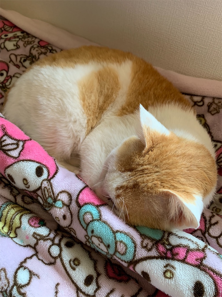 f:id:iwamityu:20210420181557j:image