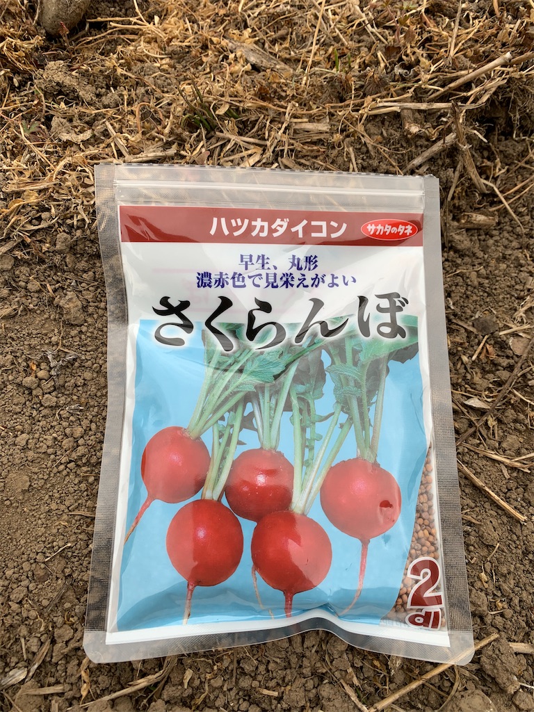 f:id:iwamityu:20210428191437j:image