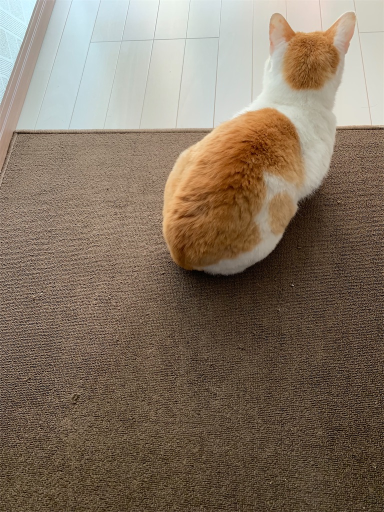 f:id:iwamityu:20210503122900j:image f:id:iwamityu:20210503122900j:image