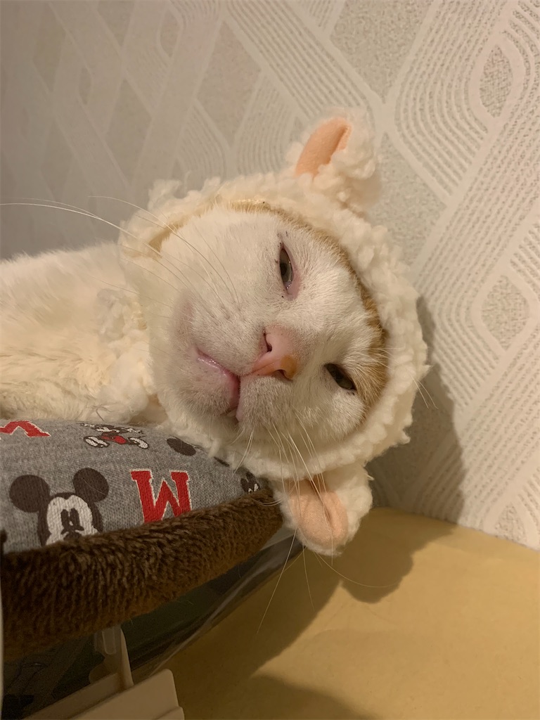 f:id:iwamityu:20210511190828j:image