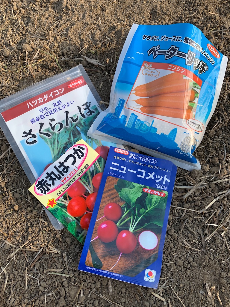 f:id:iwamityu:20210515193924j:image
