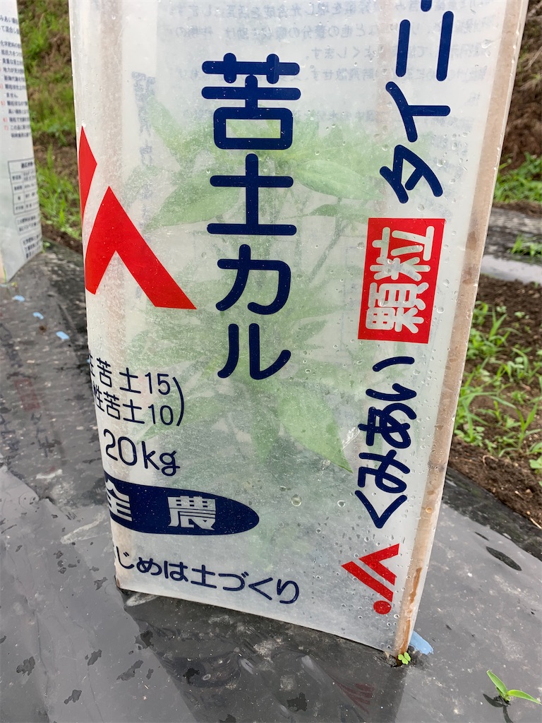 f:id:iwamityu:20210604142026j:image f:id:iwamityu:20210604142026j:image