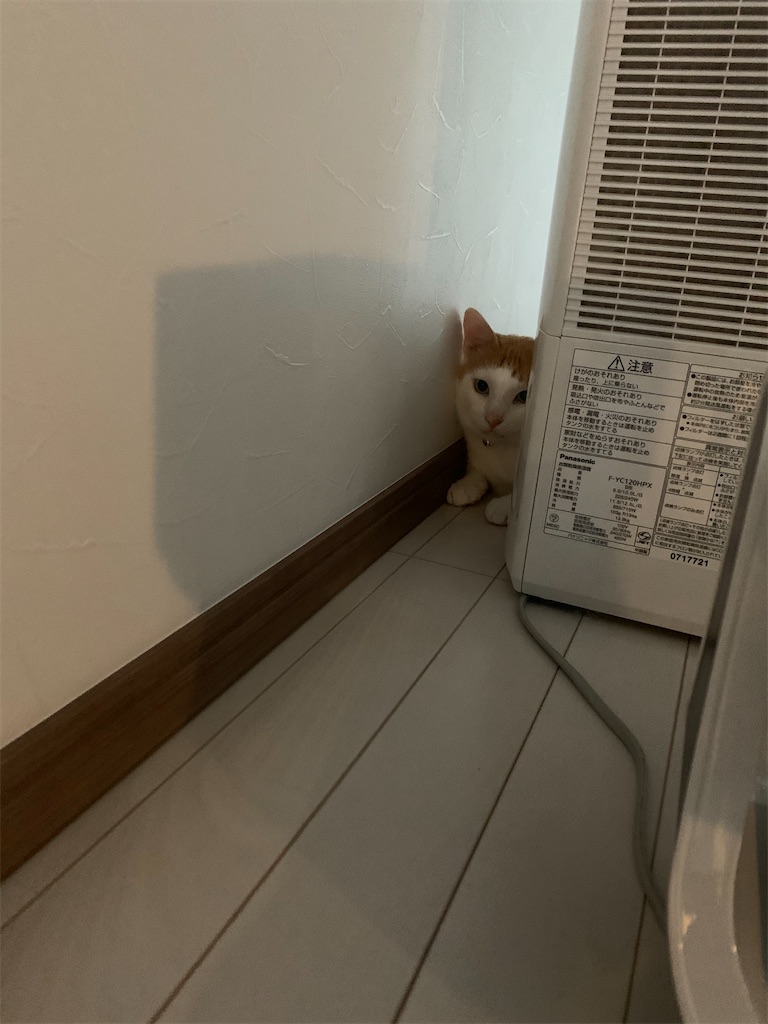 f:id:iwamityu:20210623194523j:image
