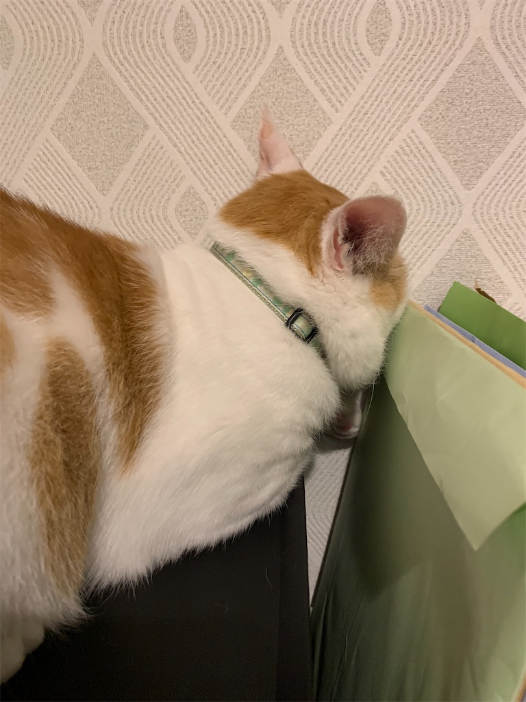 f:id:iwamityu:20210623194527j:image