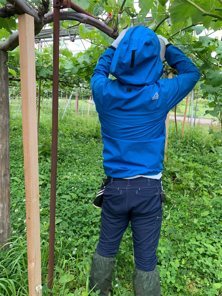 f:id:iwamityu:20210624193622j:image