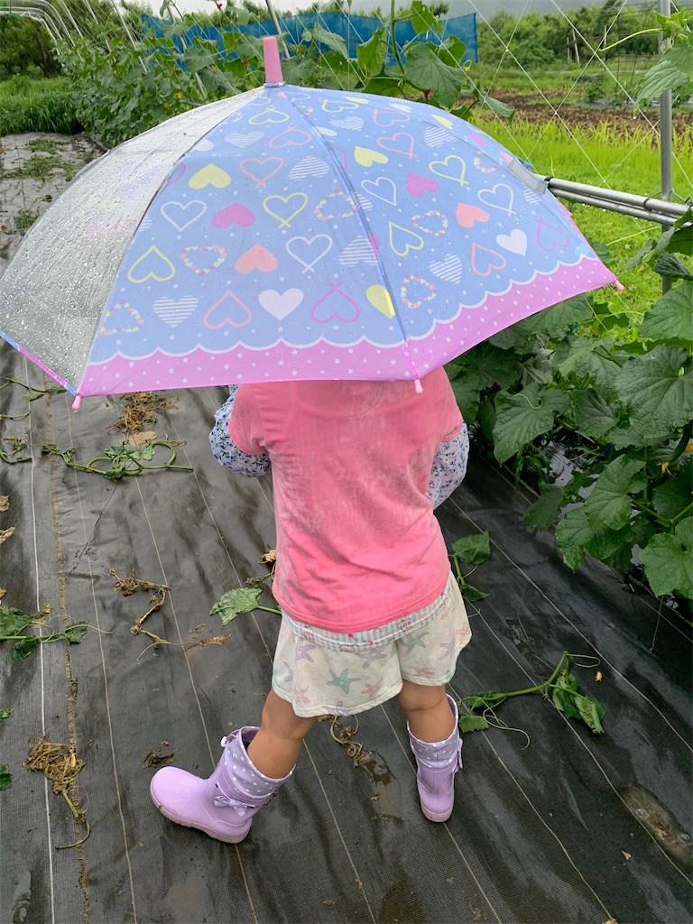 f:id:iwamityu:20210629202358j:image