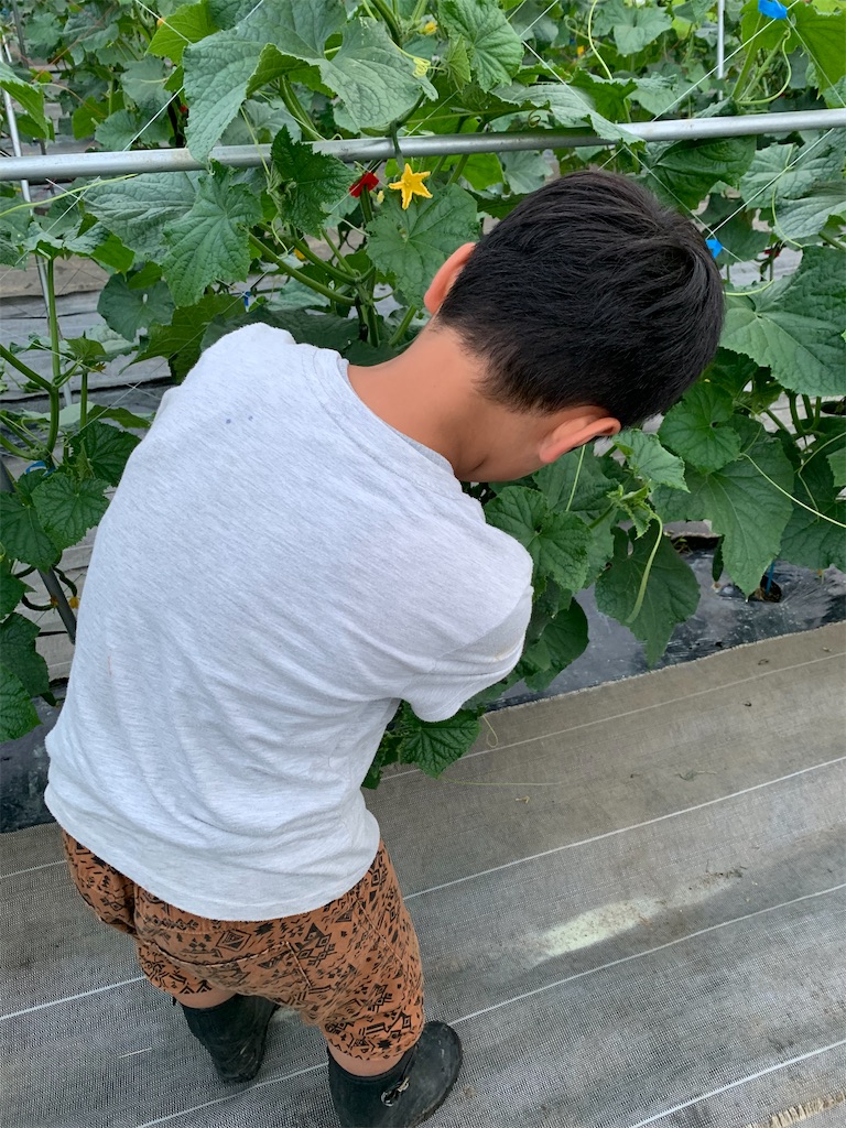 f:id:iwamityu:20210630214621j:image f:id:iwamityu:20210630214621j:image