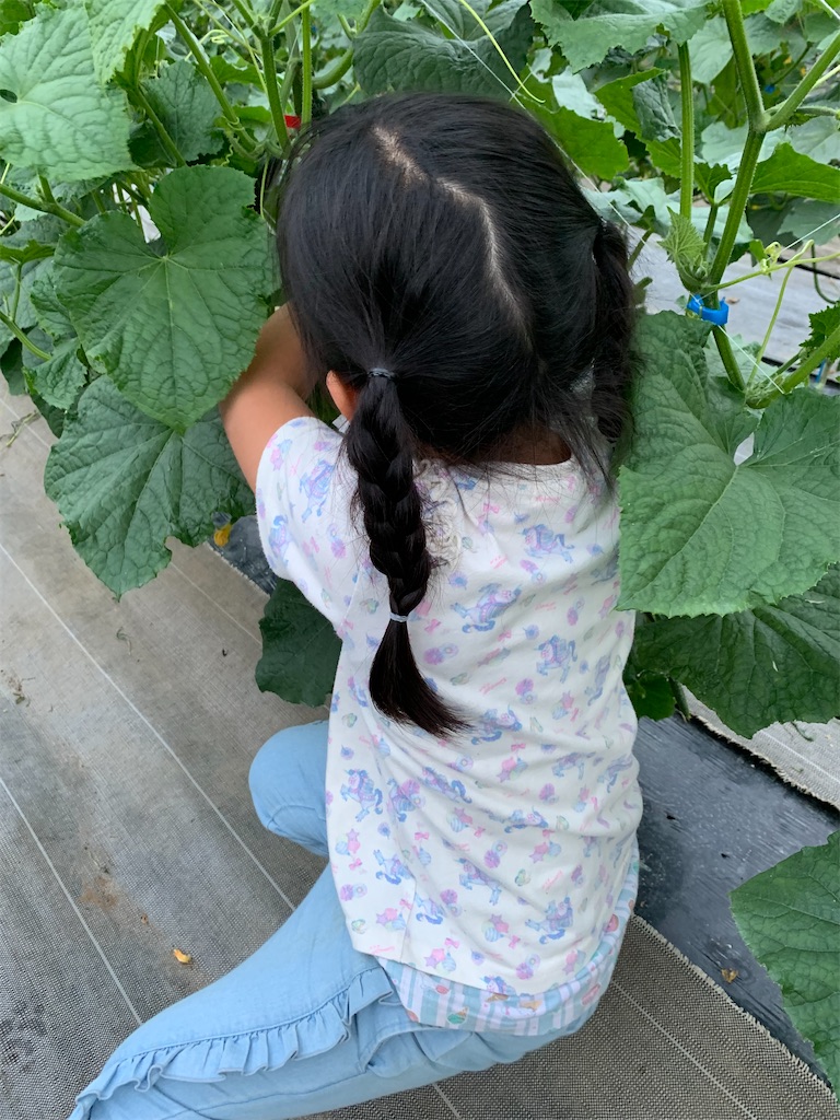 f:id:iwamityu:20210630214727j:image f:id:iwamityu:20210630214727j:image