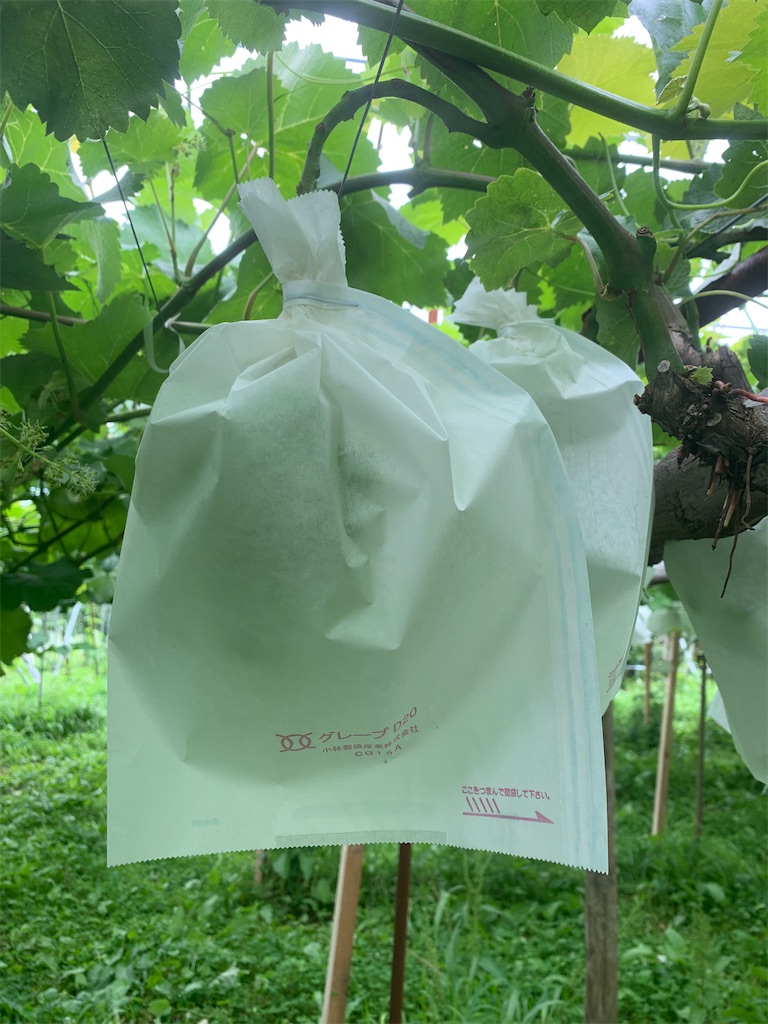 f:id:iwamityu:20210712200358j:image f:id:iwamityu:20210712200358j:image
