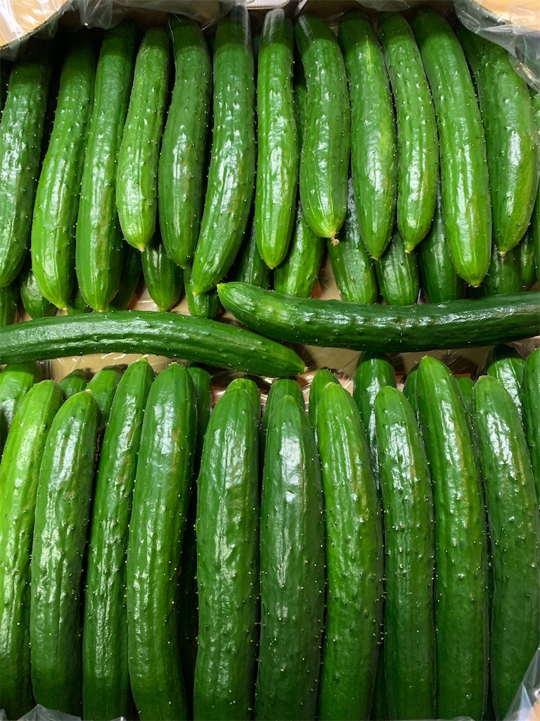 f:id:iwamityu:20210712200423j:image f:id:iwamityu:20210712200423j:image