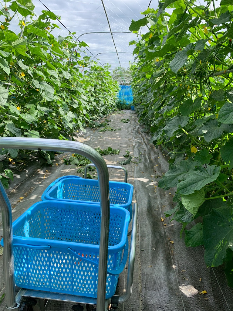 f:id:iwamityu:20210715121920j:image f:id:iwamityu:20210715121920j:image