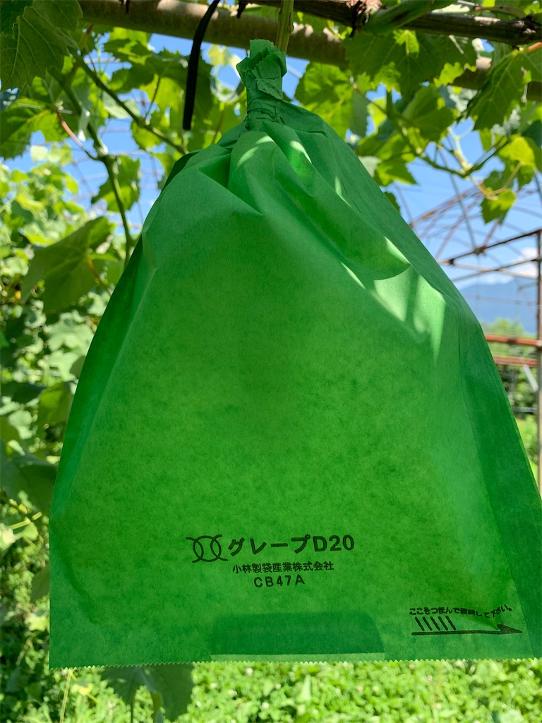 f:id:iwamityu:20210719205142j:image