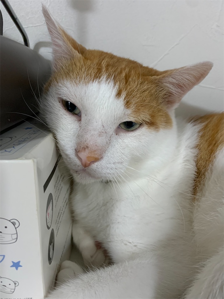 f:id:iwamityu:20210728201556j:image