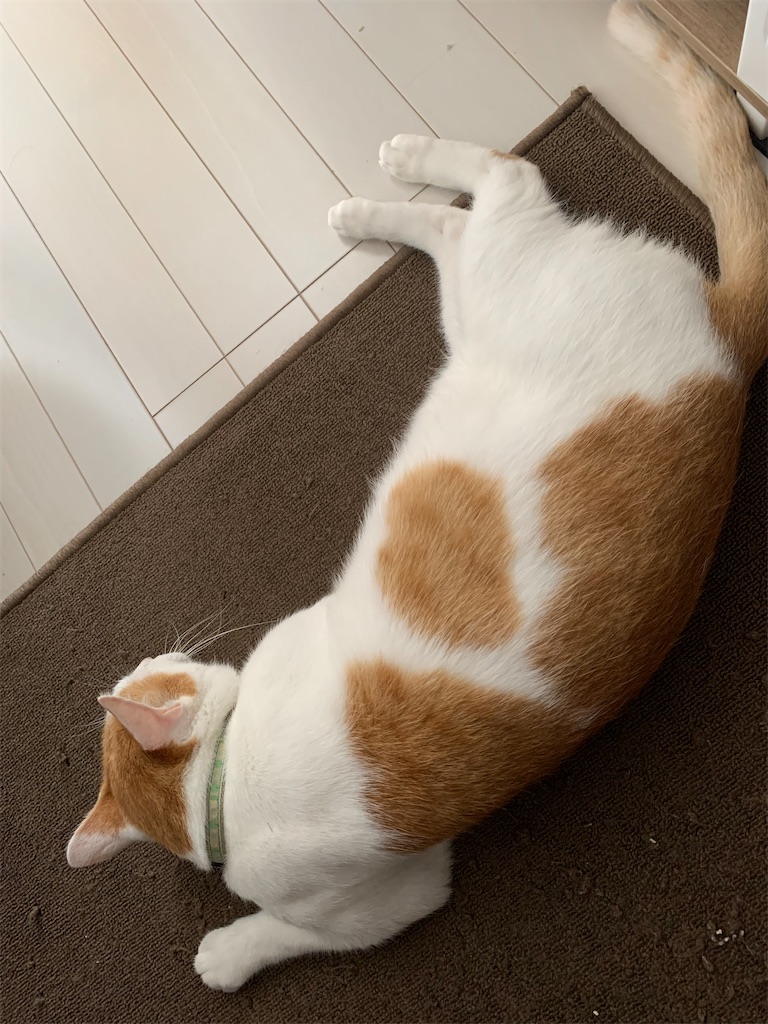 f:id:iwamityu:20210730203020j:image f:id:iwamityu:20210730203020j:image