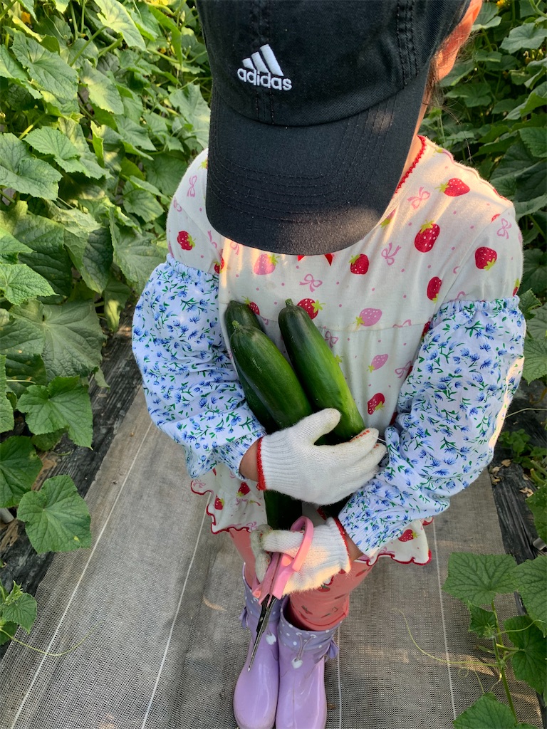f:id:iwamityu:20210731212143j:image f:id:iwamityu:20210731212143j:image