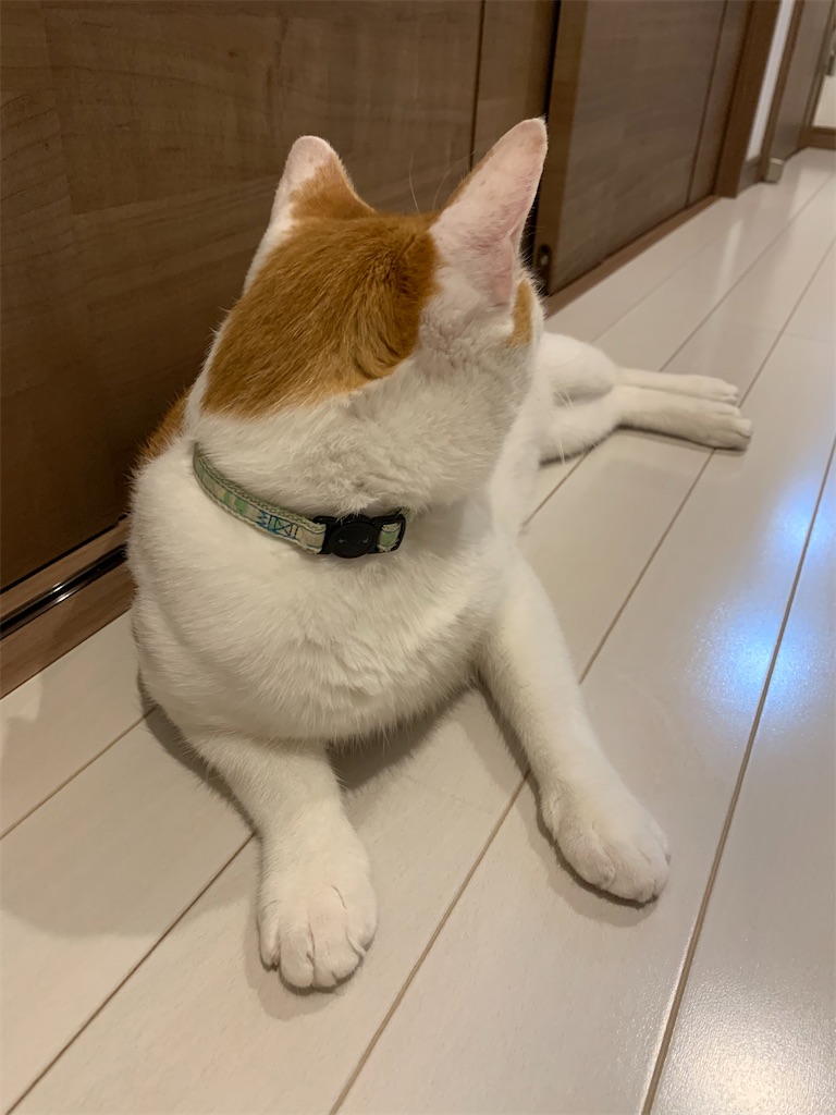f:id:iwamityu:20210803205153j:image f:id:iwamityu:20210803205153j:image