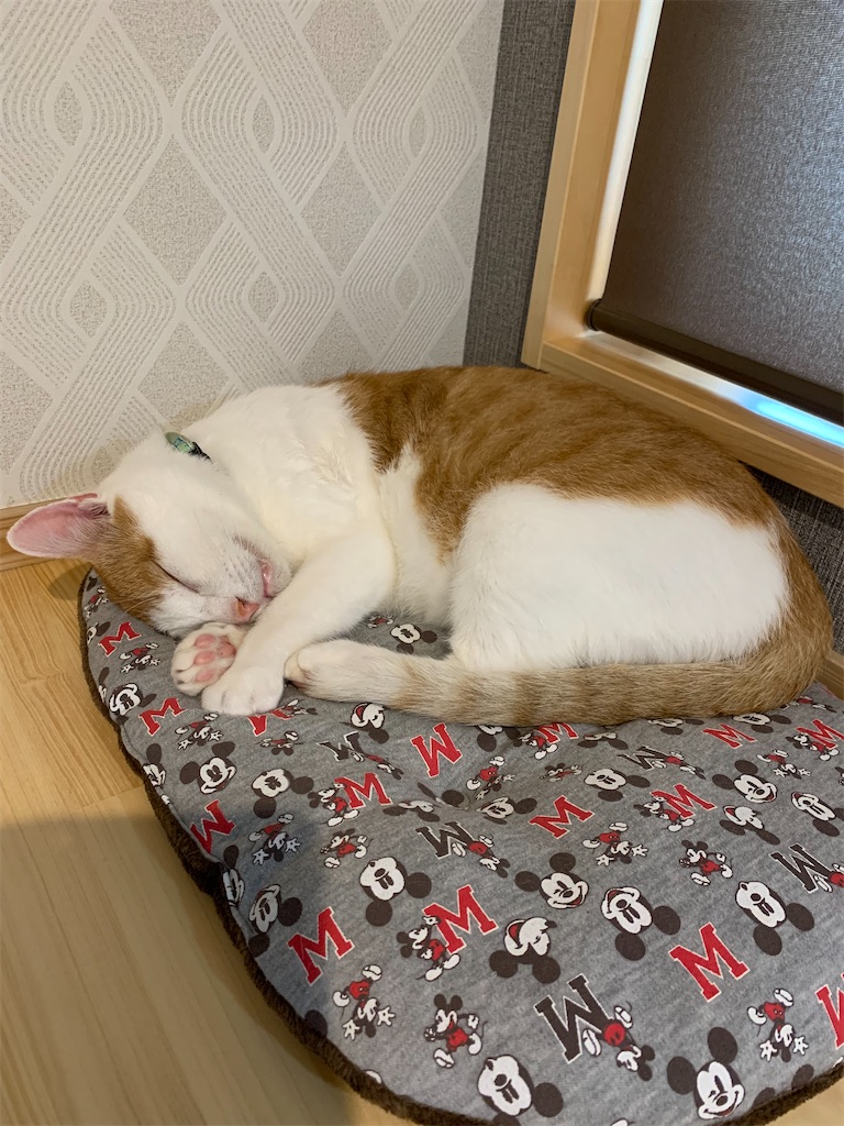 f:id:iwamityu:20210813192813j:image