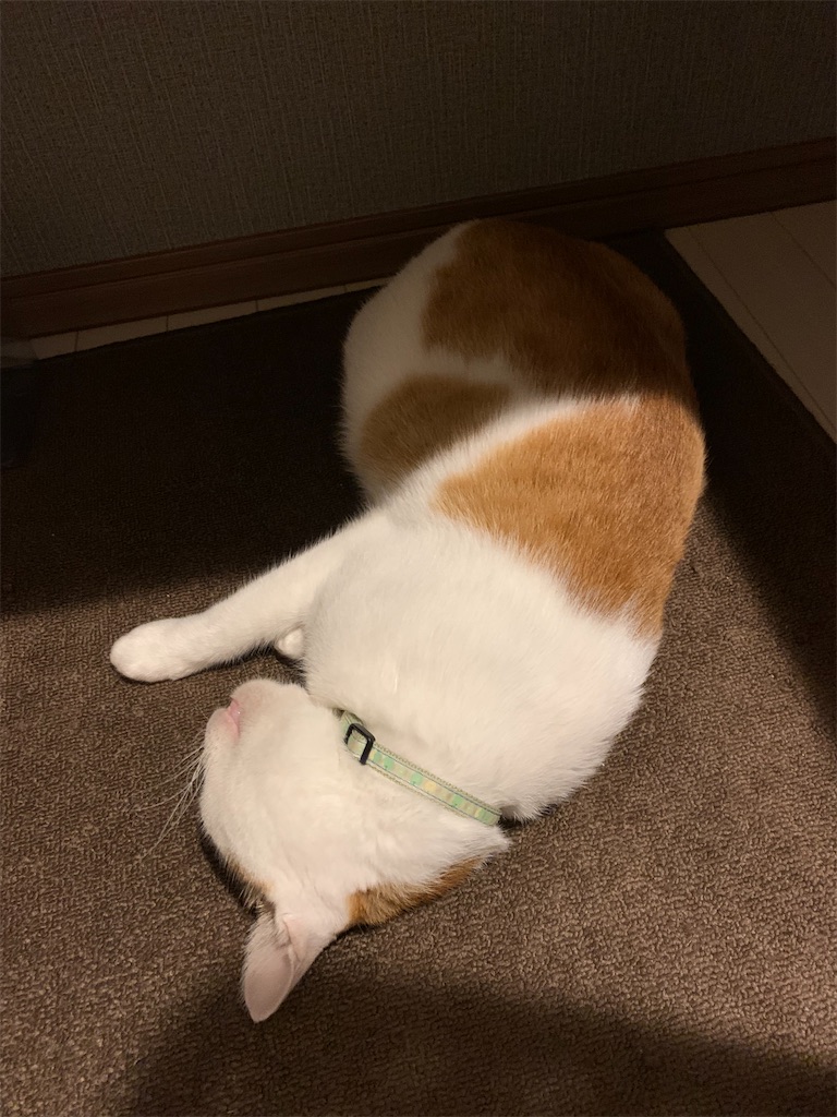 f:id:iwamityu:20210814194838j:image f:id:iwamityu:20210814194838j:image
