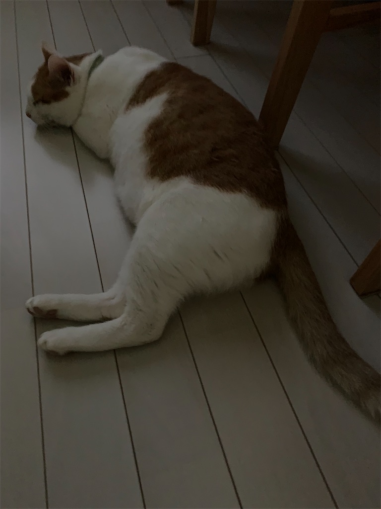 f:id:iwamityu:20210820100558j:image f:id:iwamityu:20210820100558j:image