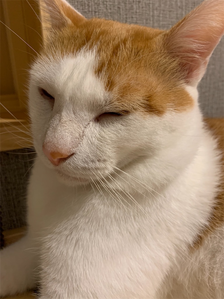 f:id:iwamityu:20210820210308j:image f:id:iwamityu:20210820210308j:image