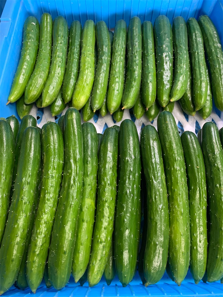 f:id:iwamityu:20210823220736j:image