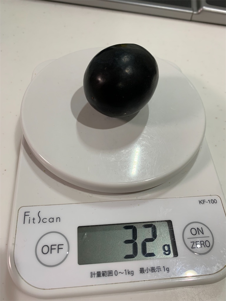 f:id:iwamityu:20210901195210j:image f:id:iwamityu:20210901195210j:image