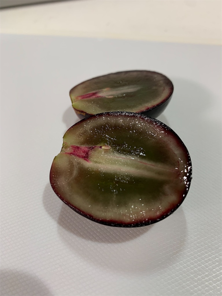 f:id:iwamityu:20210901195222j:image f:id:iwamityu:20210901195222j:image