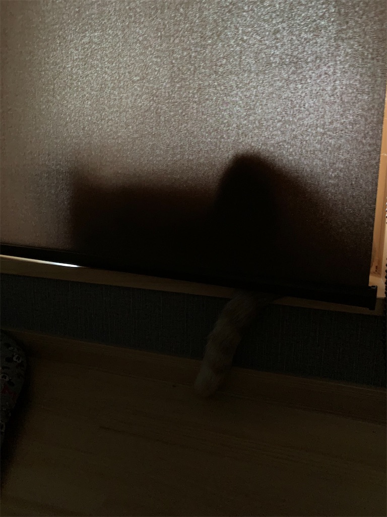 f:id:iwamityu:20210902175816j:image f:id:iwamityu:20210902175816j:image