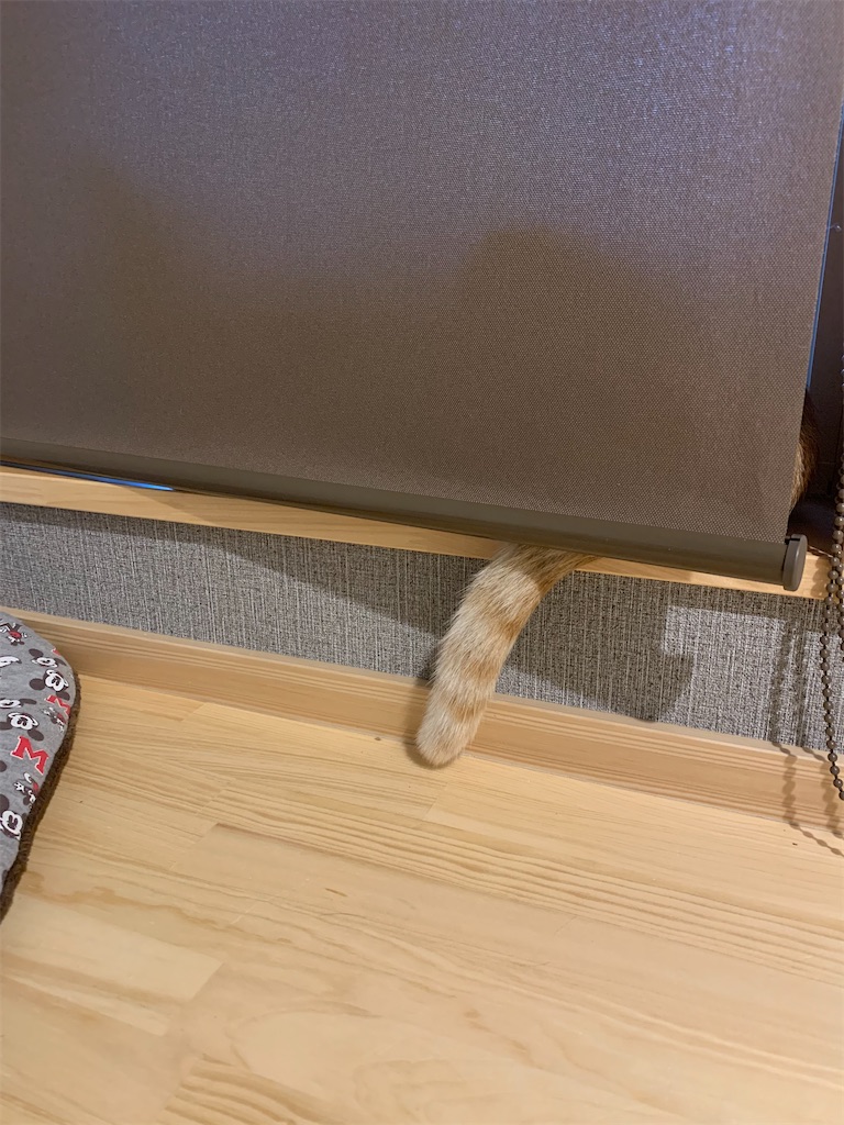 f:id:iwamityu:20210902175822j:image f:id:iwamityu:20210902175822j:image